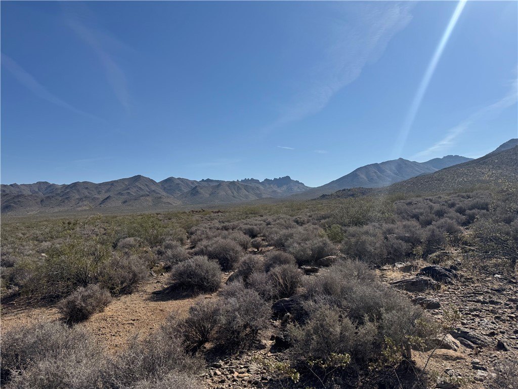 Picture 16