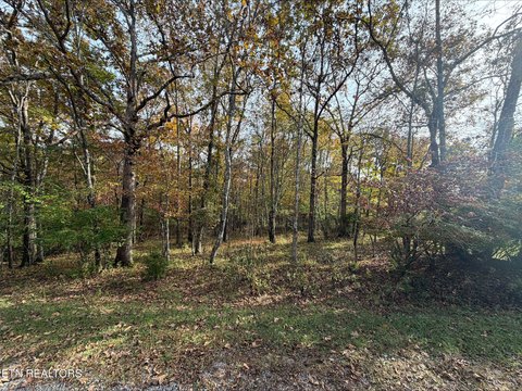 Lots & Acreage, Fairfield Glade, TN