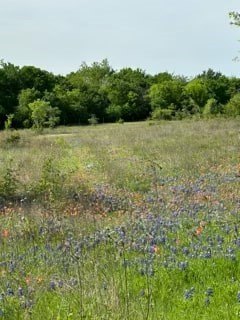 Residential Land in Itasca, TX
