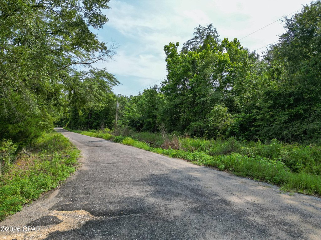 Picture 6