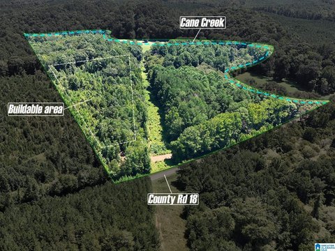 LAND/LOTS, HEFLIN, AL