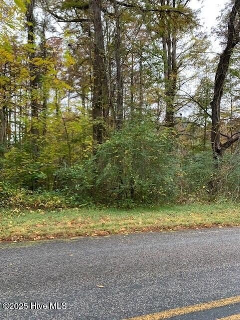 Waterfront Land in Harrellsville, NC