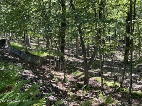 Wooded Lot in Dingmans Ferry