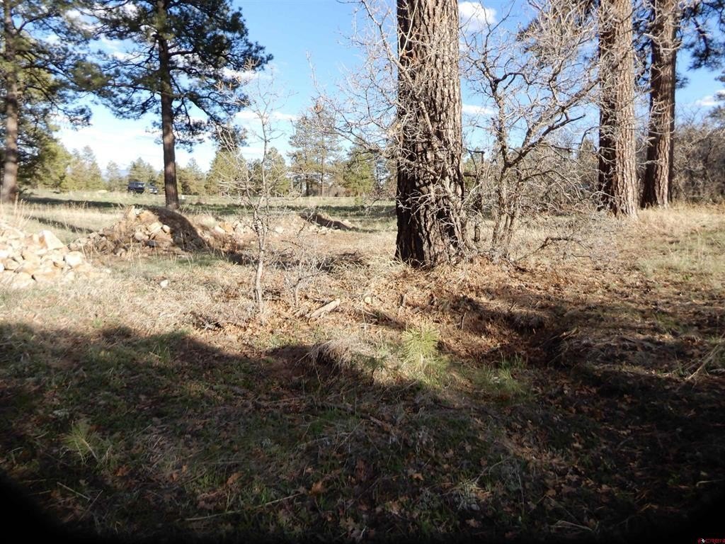 Picture 14