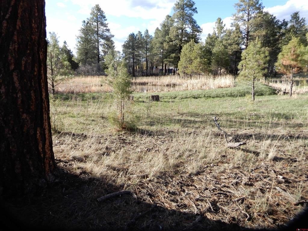 Picture 11