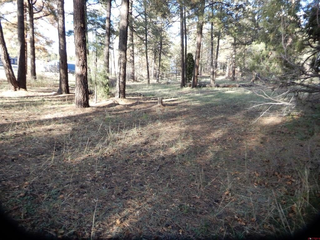 Picture 19