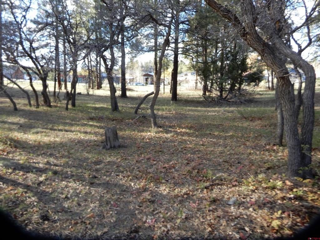 Picture 18