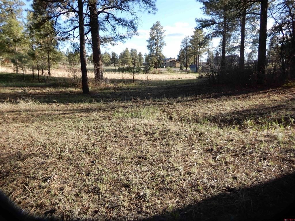 Picture 30