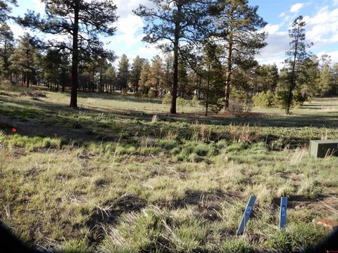 Land in Pagosa Springs, CO