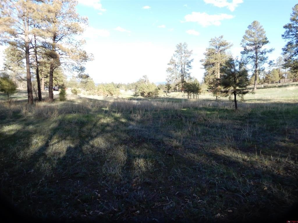 Picture 31
