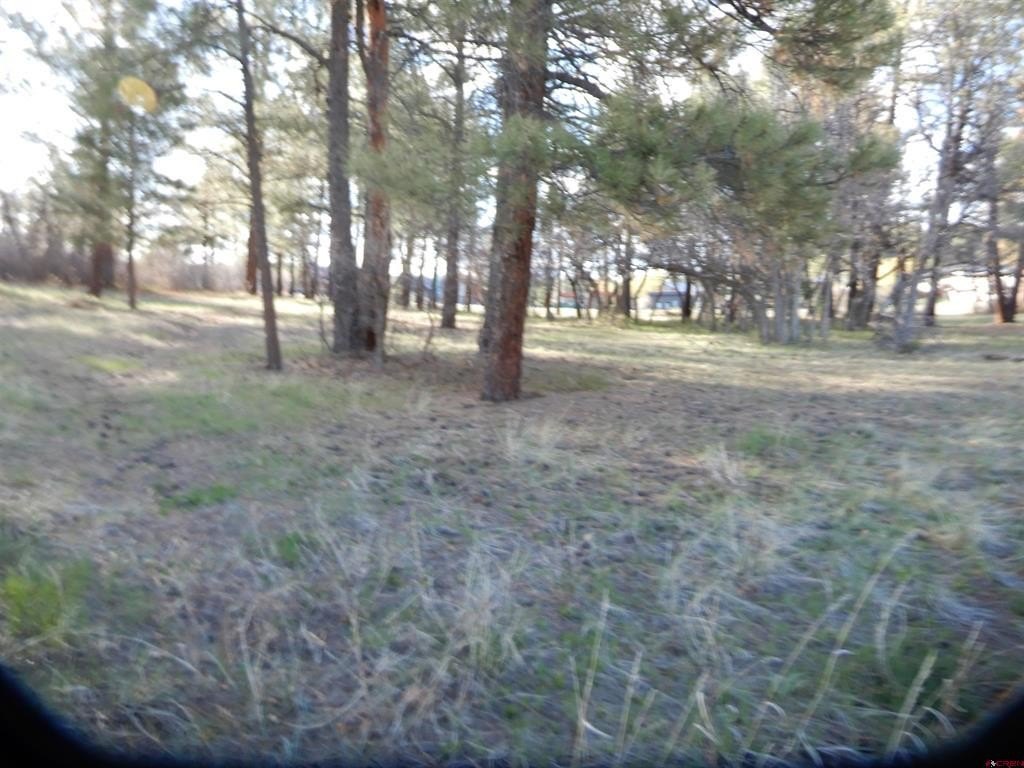 Picture 16