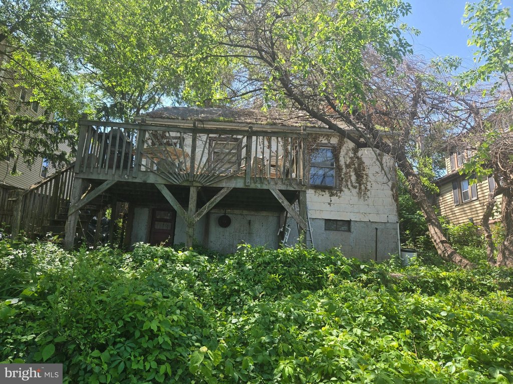 Picture 9