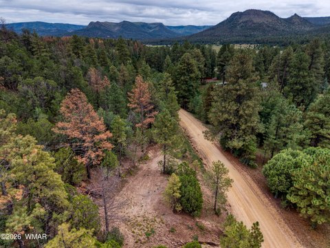 Nutrioso Acre Lot For Sale