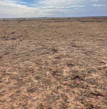 Idalou Land For Sale