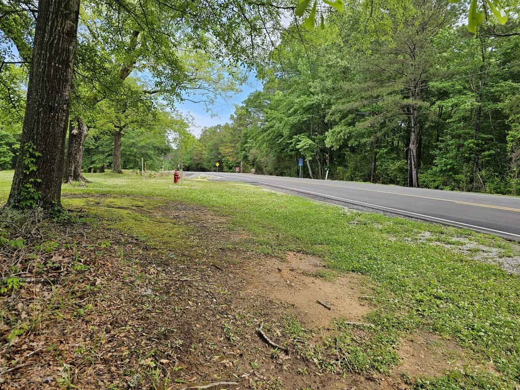 Picture 23