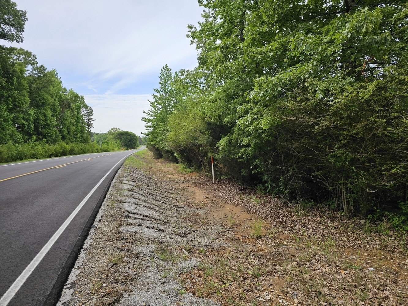 Detroit, AL Hunting/Recreation Land