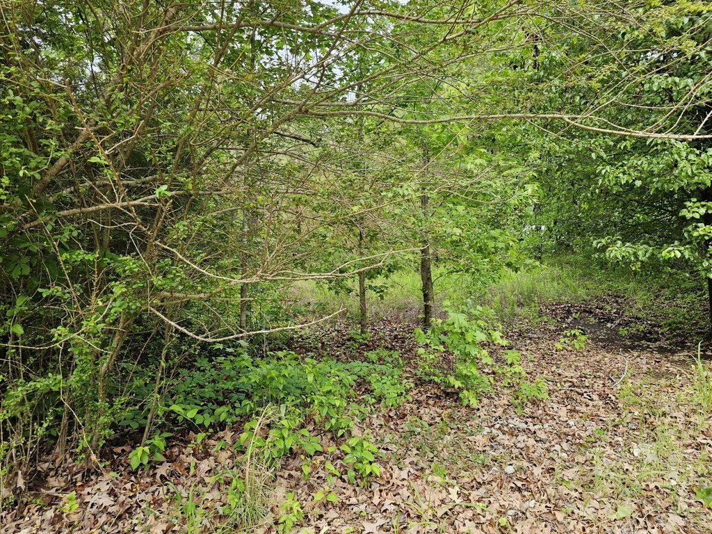 Picture 19