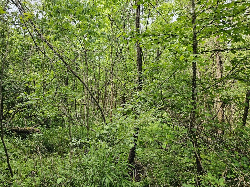 Picture 26