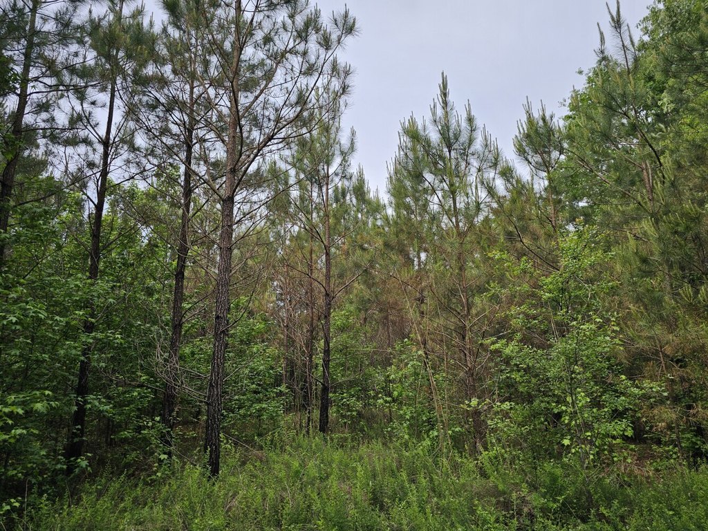 Picture 28
