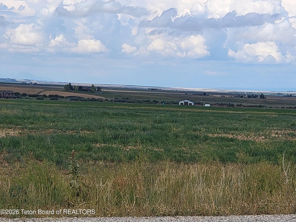 Picture 5