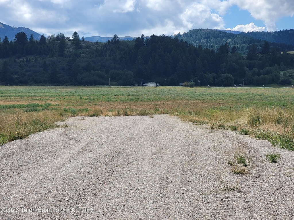 Picture 28