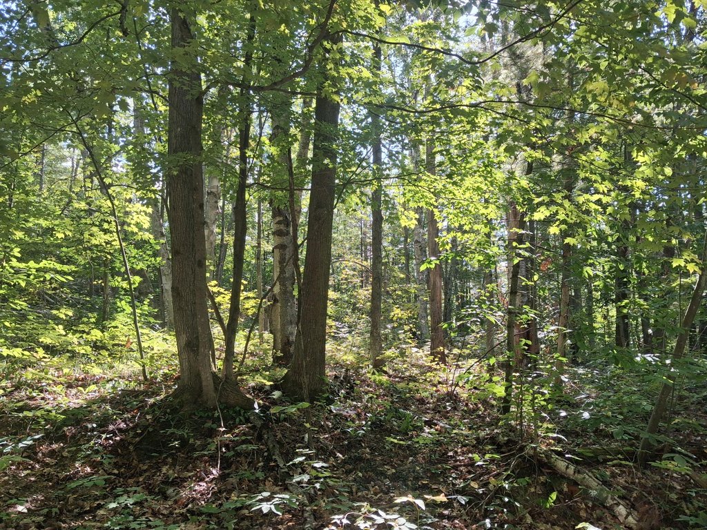 Picture 3