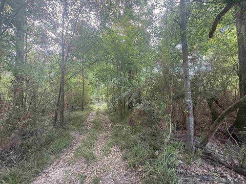 Waterfront Land on Sportsman Lake