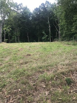 Wooded Residential Land Tract
