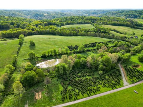 63 Acres with Income Potential