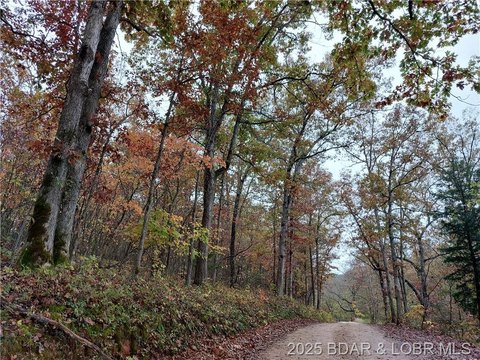 Cross Property - Stover, MO