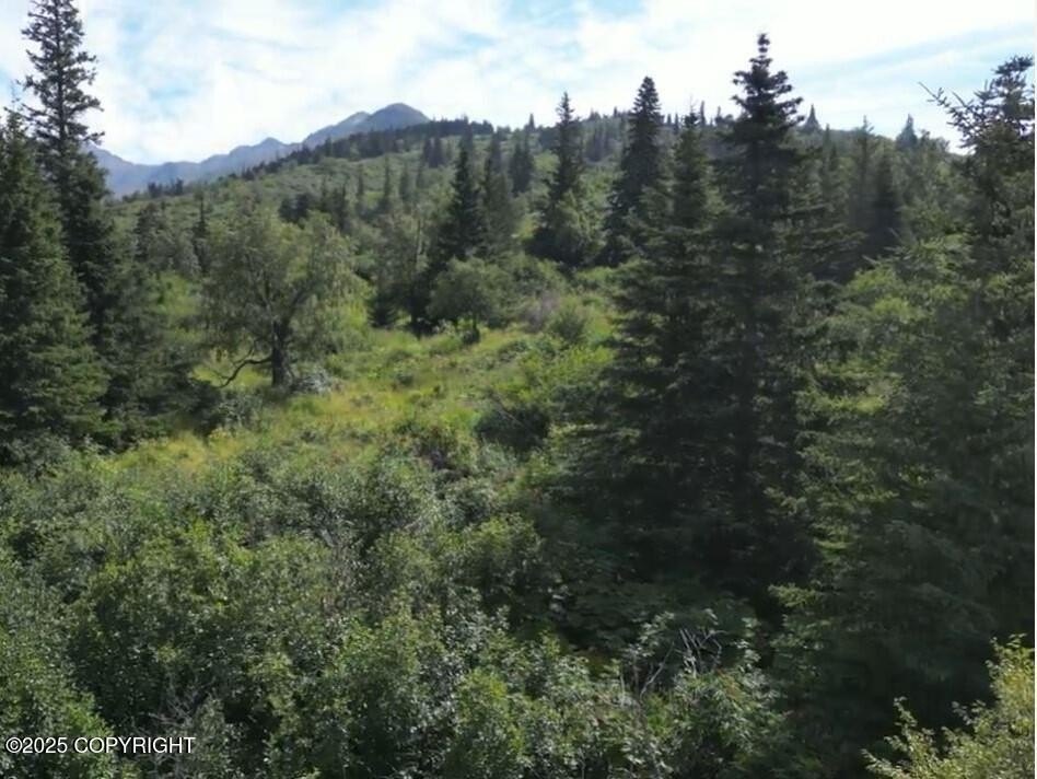 Anchorage Land with Mountain Views