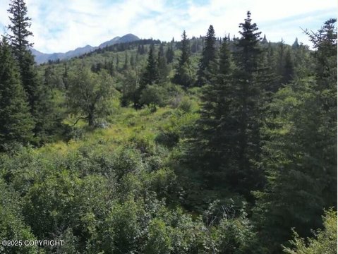Anchorage Homesite with Mountain Views