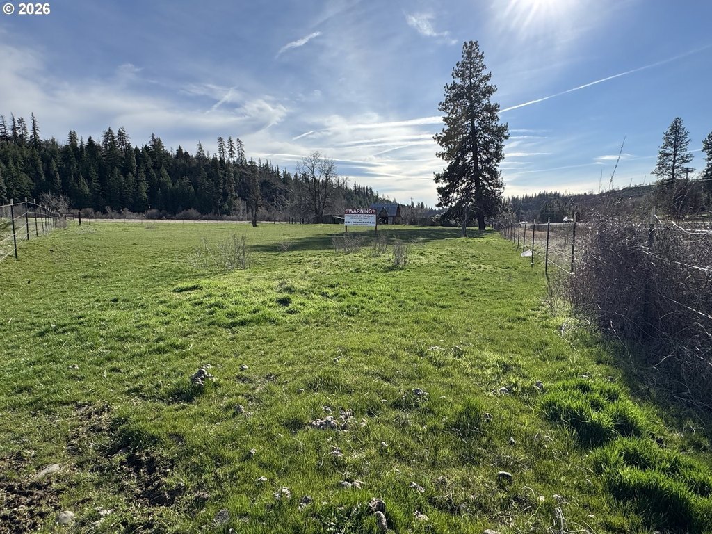 Picture 9