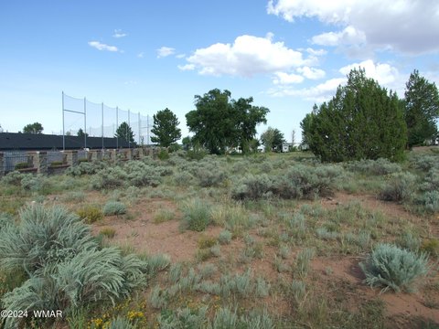 Snowflake, AZ Land For Sale