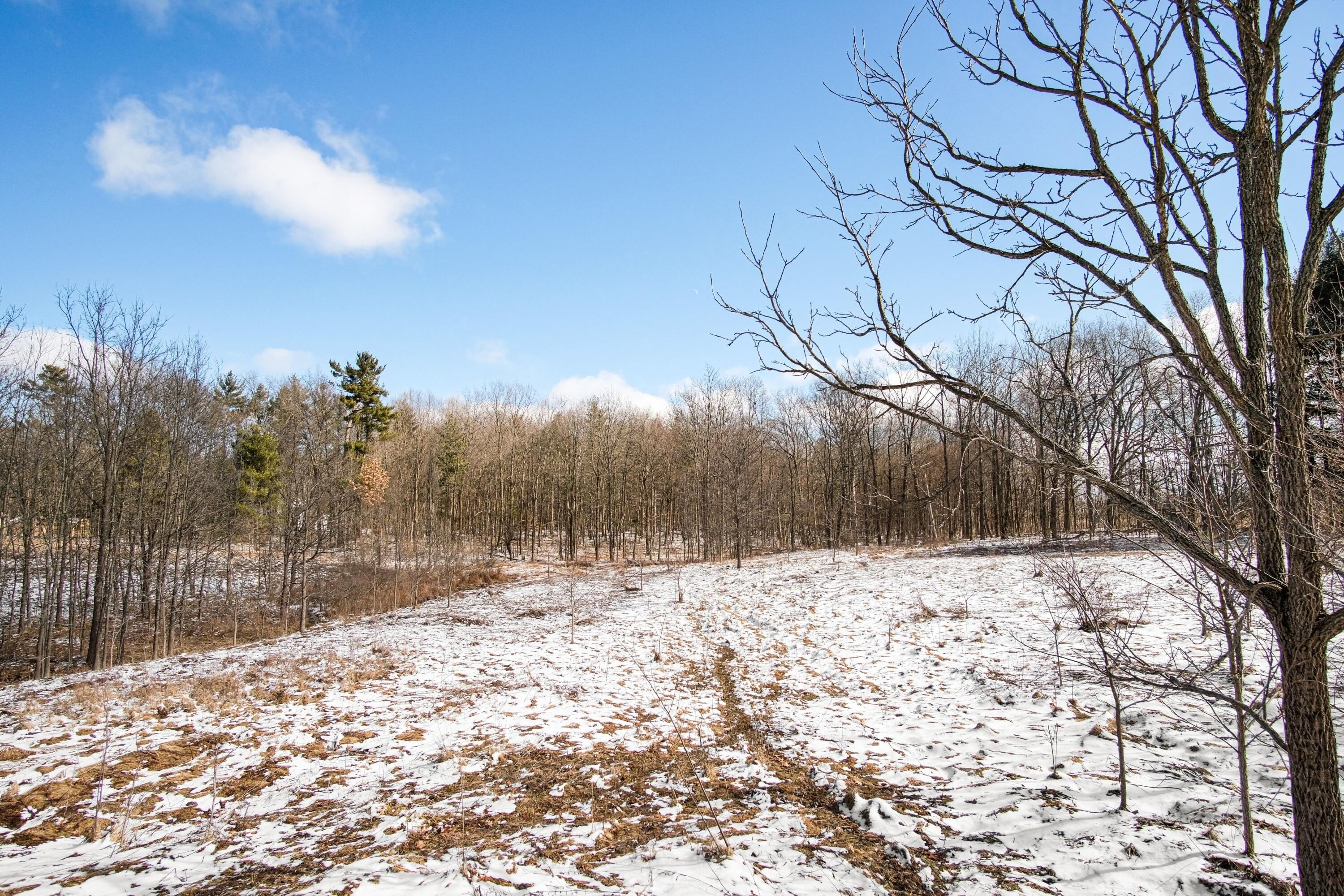 13.5 Acres Wooded Land