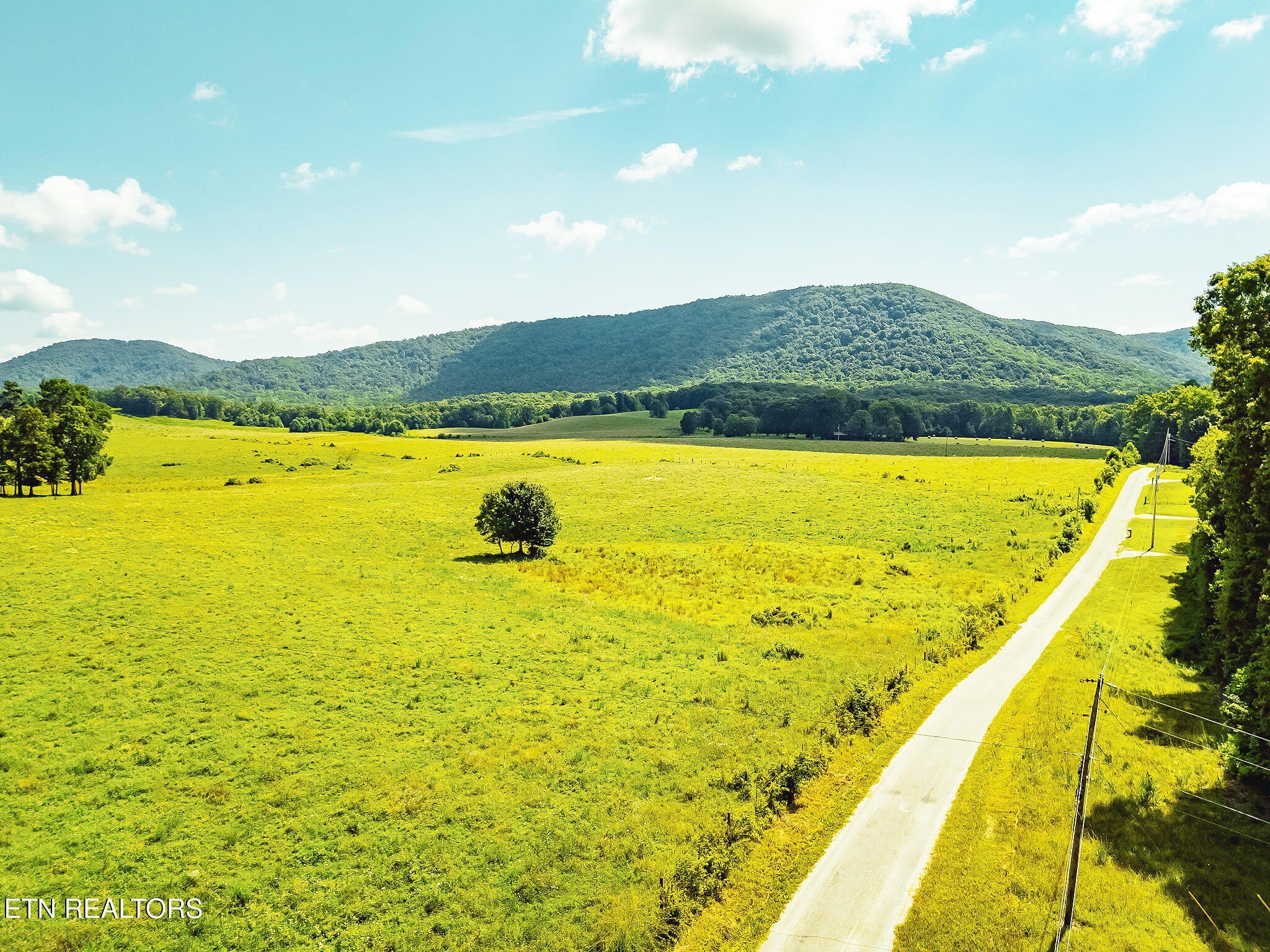 171-Acre Farm in Sunbright, TN