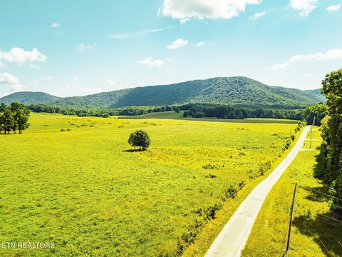 171-Acre Farm in Sunbright, TN
