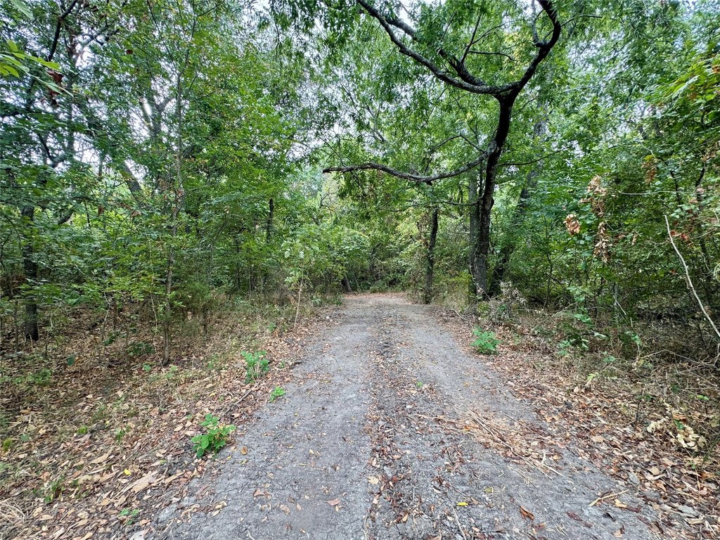Picture 10