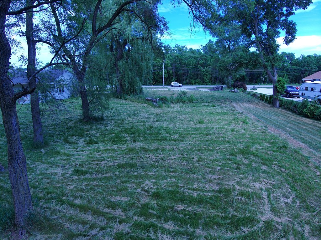 Picture 6