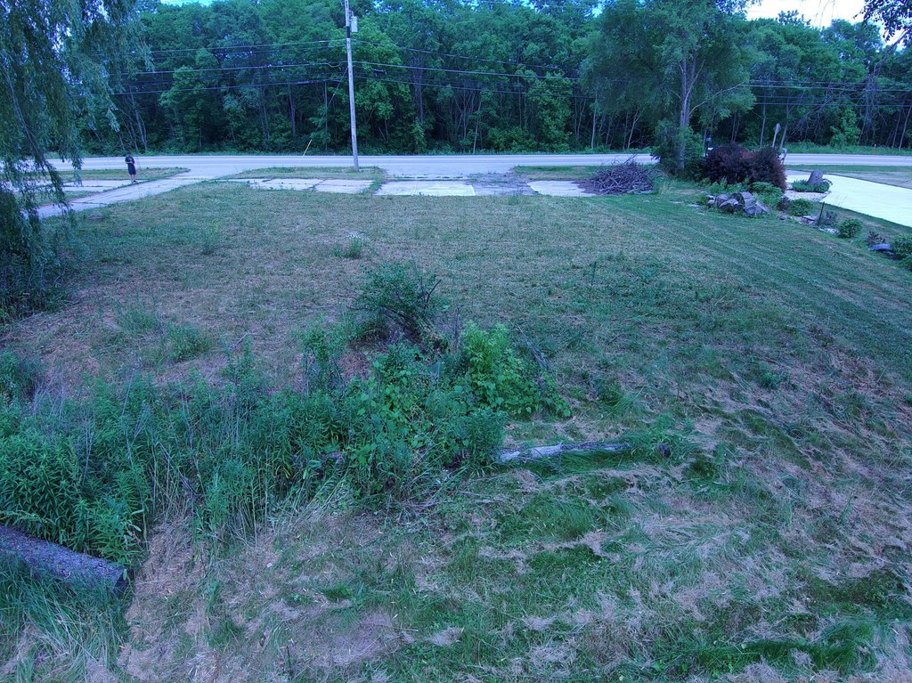 Picture 8