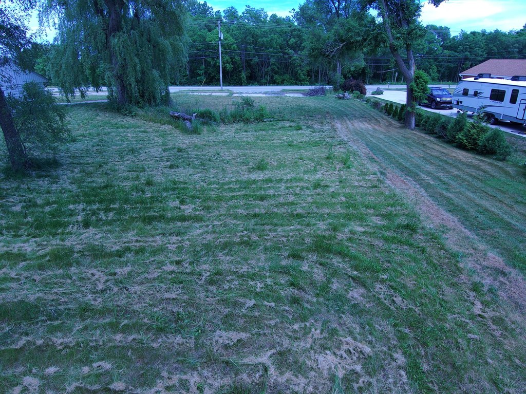 Picture 7