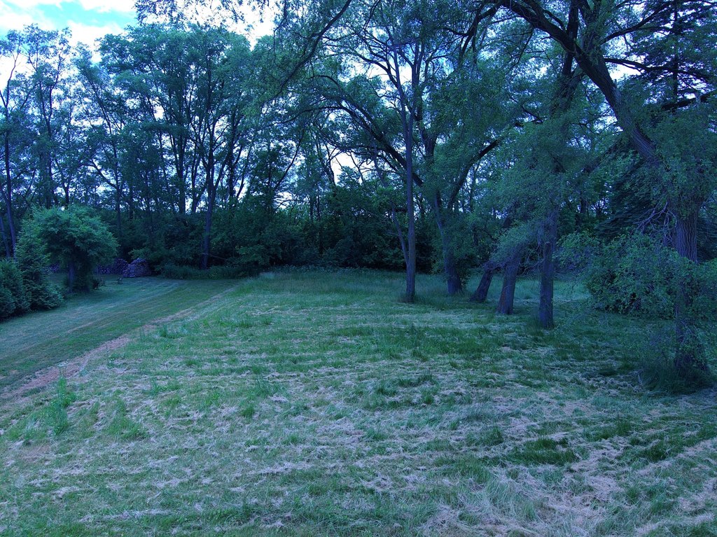Picture 5