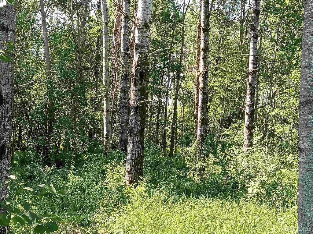 Picture 15