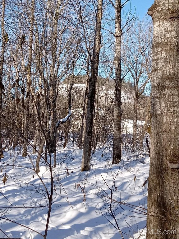 Picture 11