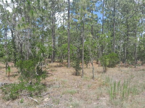 Residential Buildable Lot