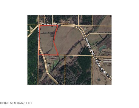 Land, Forest, MS