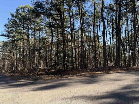 Hot Springs Village Land Opportunity