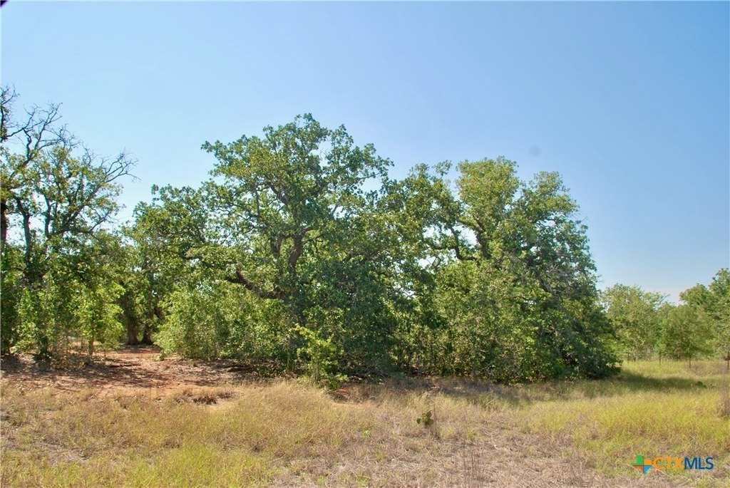 Picture 8