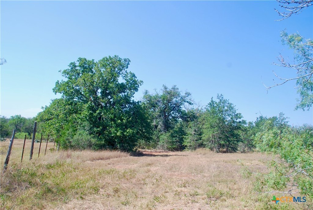 Picture 27