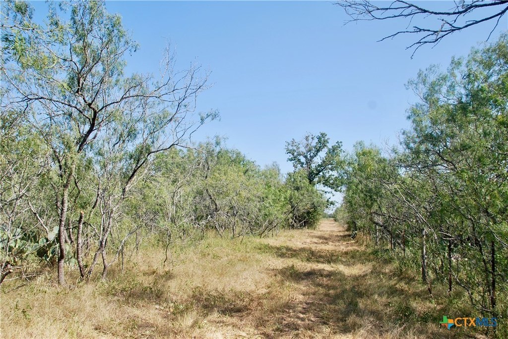 Picture 10